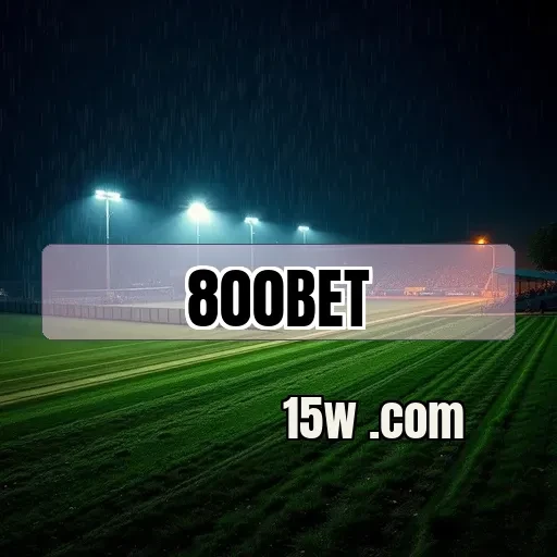 800bet.com: Recursos Exclusivos e Incríveis para Jogos de Mesa